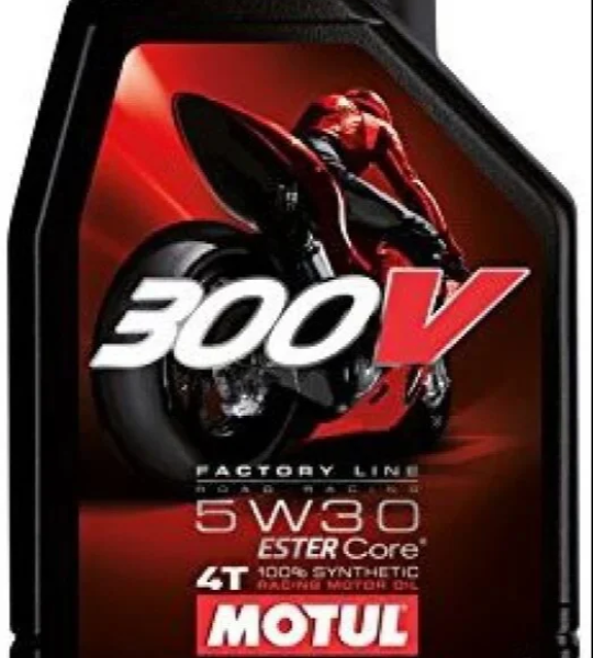 3100 4T Gold 5w30 (API SL)